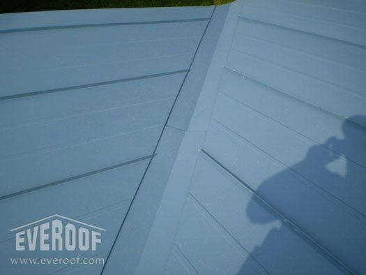 everoofImage_22